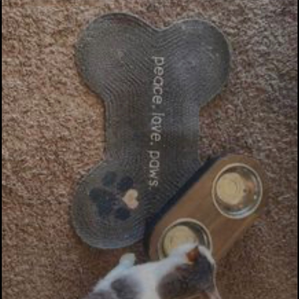 Cat matt and water/Food bowls